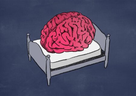 یک عامل مهم در تقویت حافظه و هوش