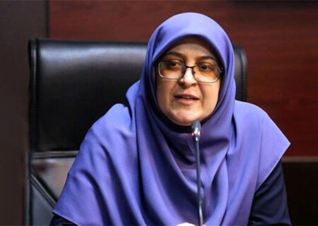 مهاجرانی: از هر ابتکار عملی برای رفع تحریم‌ و تامین حقوق ملت استقبال می‌کنیم