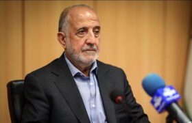 درخت قطع شده در میدان آزادی خشک بود/ قصور منابع طبیعی در خشکی درختان چیتگر و سرخه‌حصار