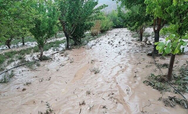 هشدار سازمان امداد و نجات برای سیلاب در برخی نقاط کشور/ تماس با ۱۱۲ با بروز هرگونه مخاطره جوی