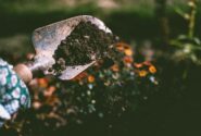 گرمای جهانی، مقاومت آنتی‌بیوتیکی خاک را افزایش می‌دهد