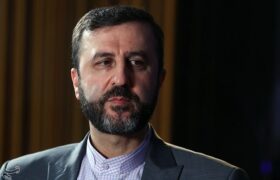 غریب‌آبادی: با روسیه و چین هماهنگیم