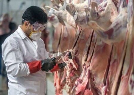 تلاش دولت برای خودکفایی در تولید گوشت قرمز