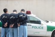 دستگیری ۳۳۸ سارق و کشف ۴۳۶ سرقت طی سه روز