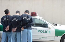 دستگیری ۳۳۸ سارق و کشف ۴۳۶ سرقت طی سه روز