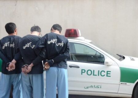 دستگیری ۳۳۸ سارق و کشف ۴۳۶ سرقت طی سه روز