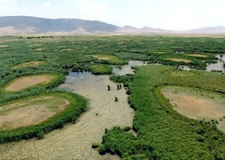 تالاب‌های کرمانشاه در آستانه نابودی؛ زنگ خطری برای بحران آب و تنوع زیستی غرب کشور