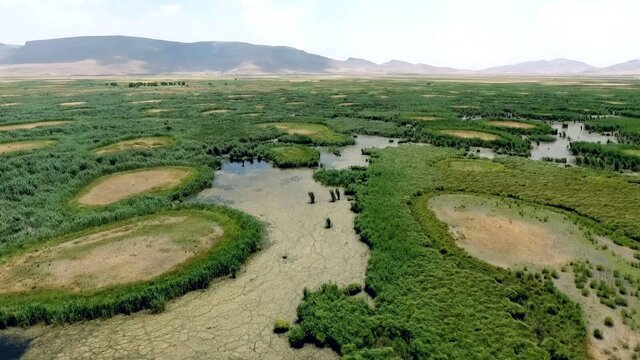 تالاب‌های کرمانشاه در آستانه نابودی؛ زنگ خطری برای بحران آب و تنوع زیستی غرب کشور