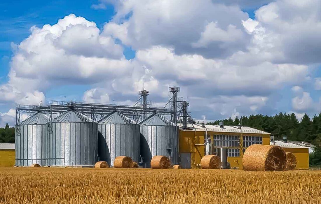 بحران خاموش در سیلوها؛ وقتی گندم هست، اما پول نیست