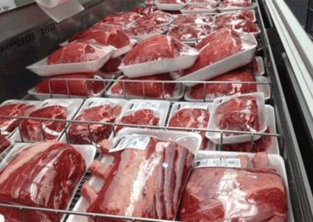 افزایش ۲۸ درصدی تولید گوشت قرمز و چالش‌های واردات؛ دامداران خواستار تقویت تولید داخلی هستند