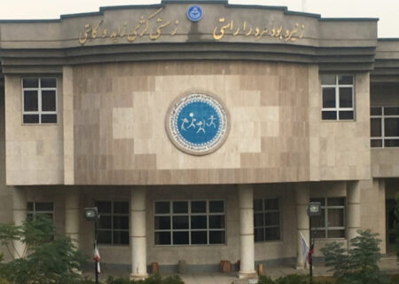 مجلس راه را برای اشتغال دانش‌آموختگان علوم ورزشی هموار کرد؛ الزام حضور مسئولان فنی در باشگاه‌ها