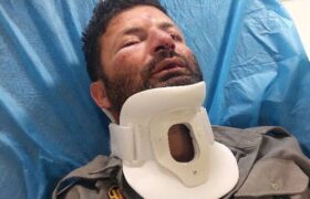 حمله به محیط‌بان ورجین شمیرانات؛ ضاربان دستگیر و روانه زندان شدند