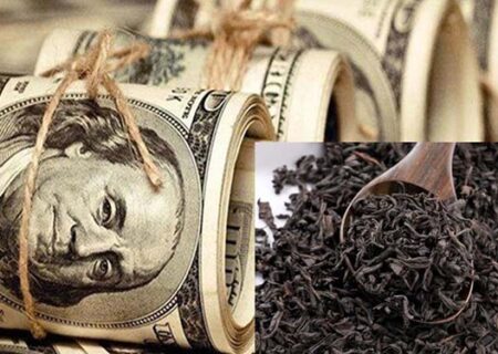 پرونده چای دبش؛ دستگیری ۹ نفر، بررسی دو وزیر اسبق و شفاف‌سازی اموال میلیاردی گروه دبش
