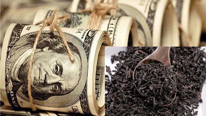 پرونده چای دبش؛ دستگیری ۹ نفر، بررسی دو وزیر اسبق و شفاف‌سازی اموال میلیاردی گروه دبش