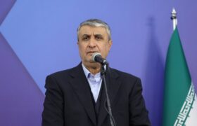 اسلامی: بازرسی آژانس از نیروگاه بوشهر با مجوز شورای عالی امنیت ملی انجام شد