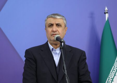 اسلامی: بازرسی آژانس از نیروگاه بوشهر با مجوز شورای عالی امنیت ملی انجام شد