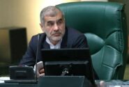 نیکزاد: لایحه حمایت از زنان بدون تغییرات ماهوی تصویب شده است