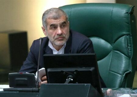 نیکزاد: لایحه حمایت از زنان بدون تغییرات ماهوی تصویب شده است