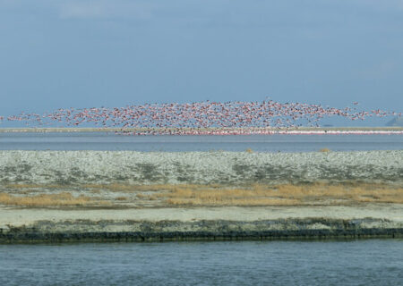 دریاچه ارومیه؛ قربانی دوگانه امنیت غذایی و آبی