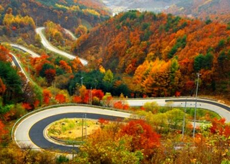 ترافیک سنگین در شمال؛ محدودیت ترافیکی محور کرج چالوس و یک‌طرفه شدن مسیر از پل زنگوله