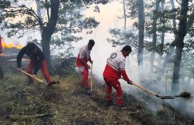 مهار ۹۰ درصدی آتش‌سوزی جنگل‌های الیت چالوس