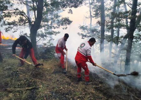 مهار ۹۰ درصدی آتش‌سوزی جنگل‌های الیت چالوس