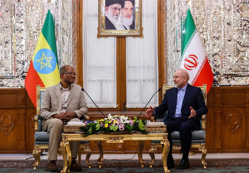دیدار رؤسای مجالس ایران و اتیوپی در تهران؛ تأکید بر توسعه روابط پارلمانی و اقتصادی