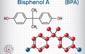 هشدار درباره بیسفنول‌ها؛ مواد مختل‌کننده هورمون در رسیدهای خرید و ظروف پلاستیکی