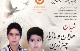 شهادت دو برادر دارای معلولیت در حمله به هرمزگان؛ شمار شهدای جامعه هدف بهزیستی به ۱۹ نفر رسید