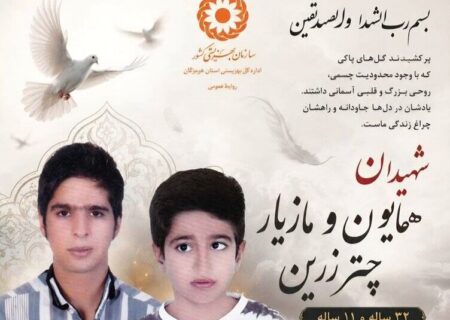 شهادت دو برادر دارای معلولیت در حمله به هرمزگان؛ شمار شهدای جامعه هدف بهزیستی به ۱۹ نفر رسید