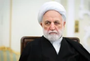 اژه‌ای: بدون حکم قانونی نباید وسایل الکترونیکی متهمان بازرسی شود