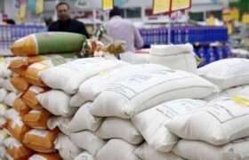 آزمون بزرگ تثبیت قیمت کالاهای اساسی برای شش ماه/ شرط ماندگاری چیست؟