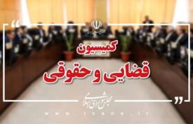 محمد سرگزی به عنوان رئیس کمیسیون قضایی و حقوقی مجلس انتخاب شد