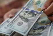 جذابیت کاذب بازار ارز باید با سیاستهای مالیاتی مهار شود