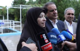 رئیس سازمان حفاظت محیط‌ زیست کشور: برنامه جامع صیانت از جنگل‌های زاگرس در حال پیگیری است