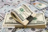 بانک مرکزی: اگر تاجری در ترخیص کالا تاخیر کند، قیمت ارز را به نرخ روز باید بپردازد